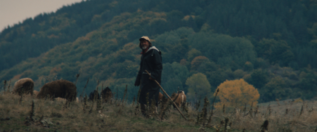 Stills from Samodiva short film - Bulgaria 2026
